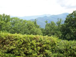 Dulcimerville Surroundings
